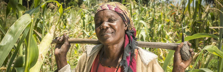 UN Women